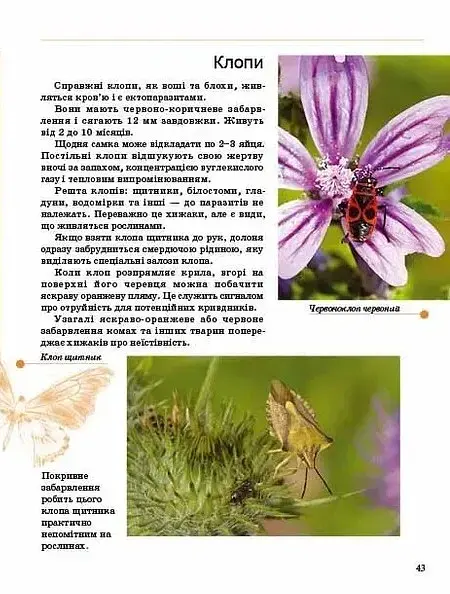 Комахи та інші - Тетяна Жабська - фото 10