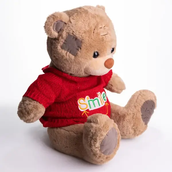 Мягкая игрушка с пледом 110х140 см Мишка Тедди в красном свитере бежевый детский плюшевый плед игрушка подушка детская ТМ COLORFUL HOME 509-35BRR - фото 3