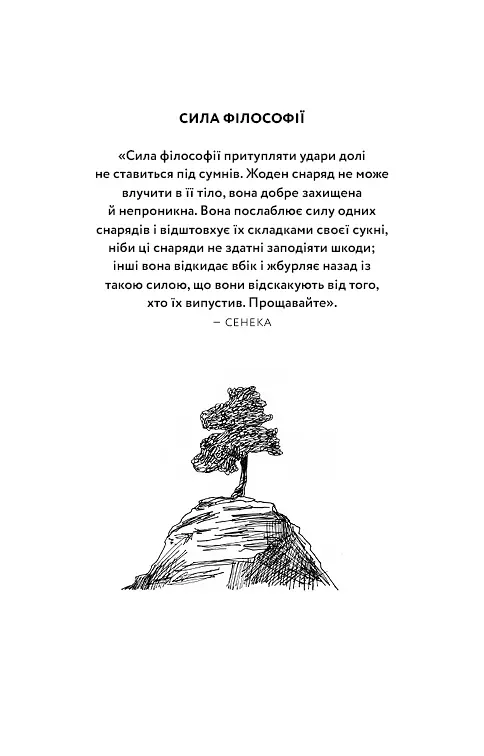 Маленька книга стоїцизму. Перевірена часом мудрість, що дарує стійкість, упевненість і спокій - Йонас Зальцґебер - фото 4