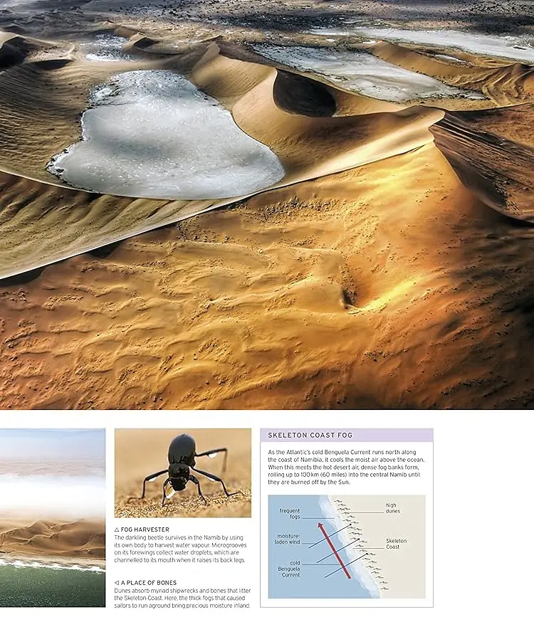 Natural Wonders of the World - Кріс Пакхем - фото 9
