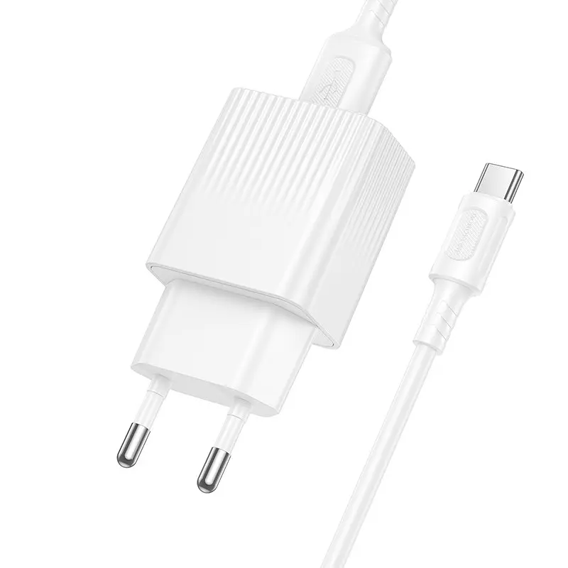 Сітчастий зарядний пристрій з кабелем BOROFONE BAS71A Source single-port charger set(Type-C) білий - фото 3