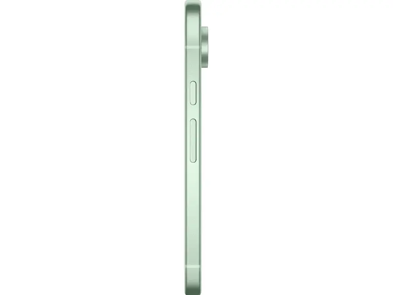 Смартфон Google Pixel 9 12/256GB Wintergreen - фото 2