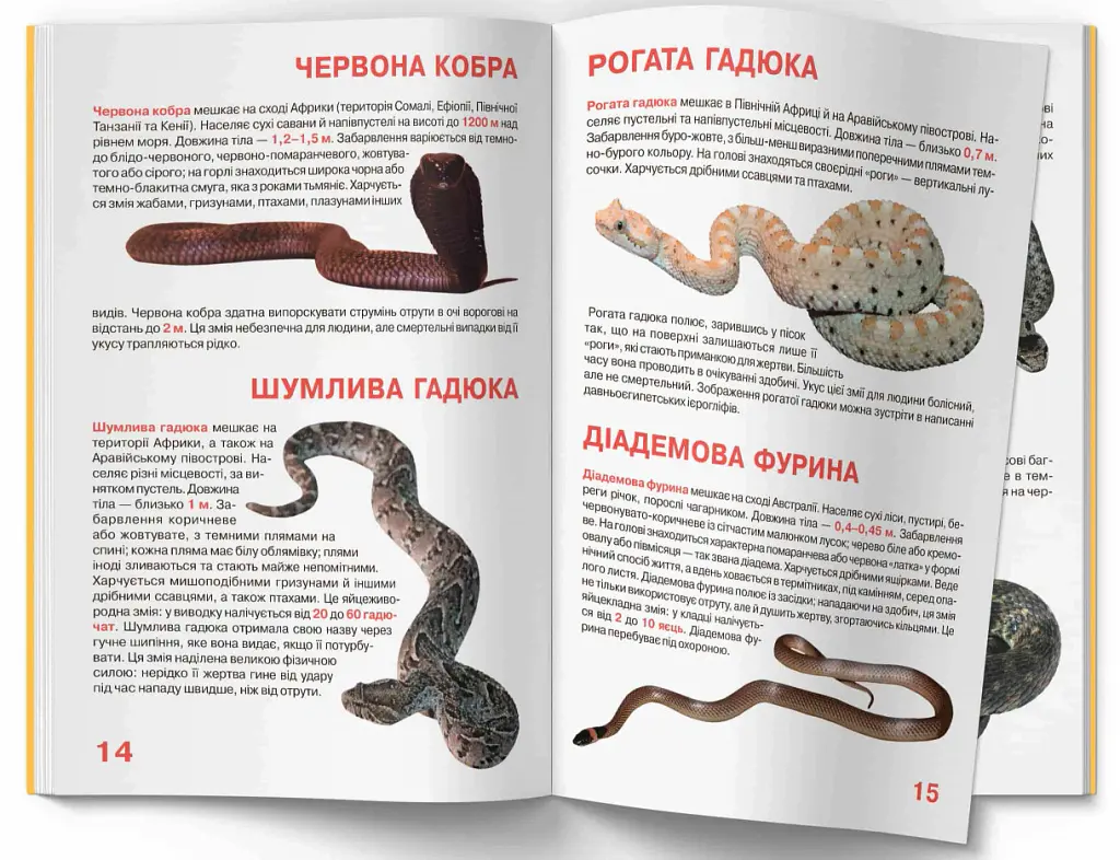Велика книжка. Отруйні змії - фото 5