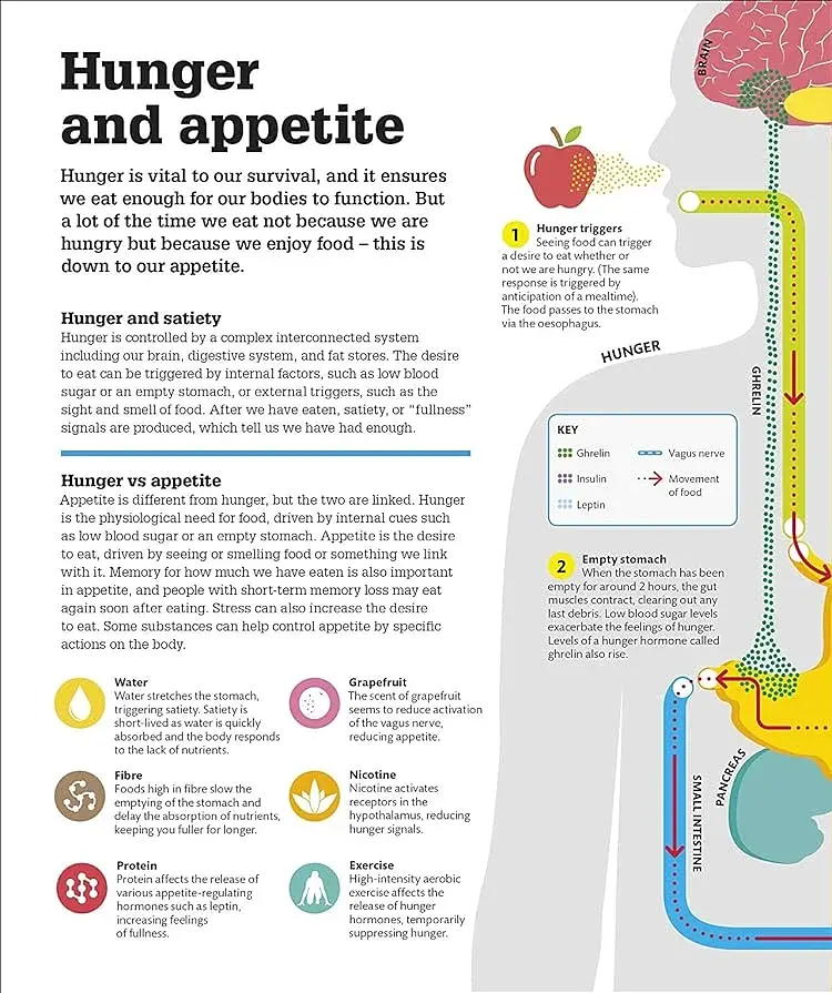 How Food Works: The Facts Visually Explained - фото 12