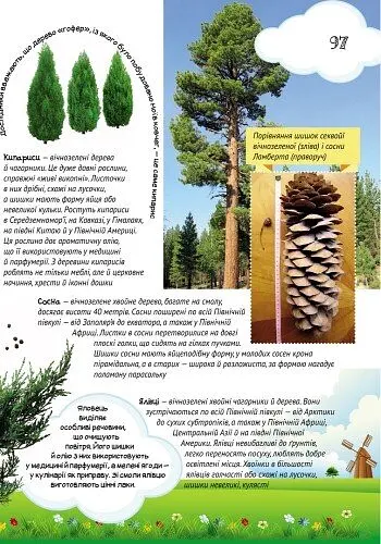 Велика енциклопедія молодшого школяра Ранок Все про все - Яна Батій (Р900879У) - фото 7