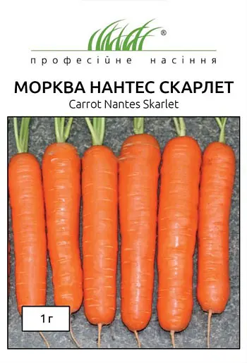 Насіння моркви Нантес Скарлет 1 г (Професійне насіння)