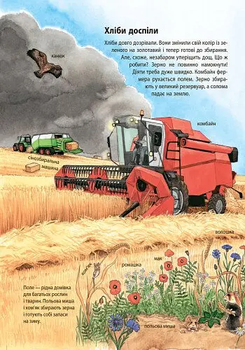 Моя перша мальована енциклопедія Ранок Ферма - Даніела Пруссе (Ч783004У) - фото 11