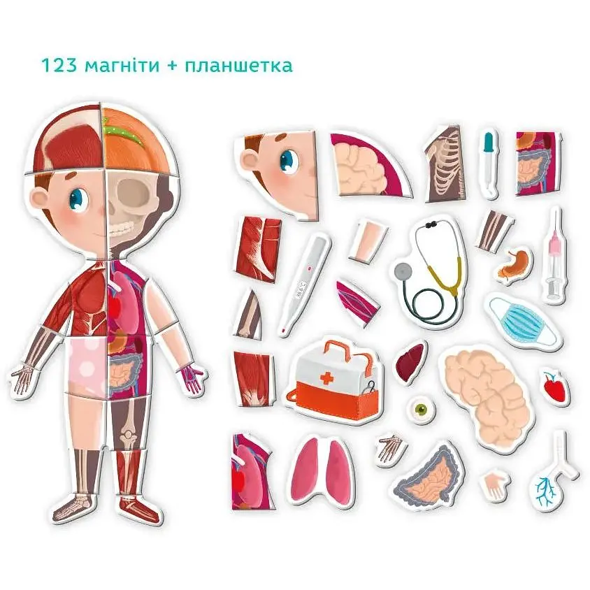 Магнітна гра DoDo Тіло (200200) - фото 2