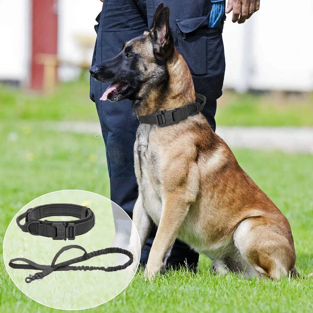 Нашийник для собак з повідцем Harness, нейлоновий з металевою пряжкою-фастекс Чорний, L - фото 2