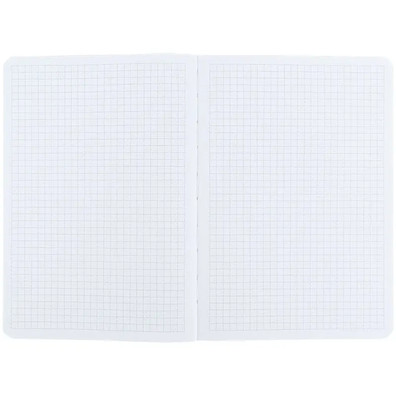 Книга записная Axent Turnowsky Silky Smooth 2 A5 80 листов клетка (8700-30-A-TR) - фото 5
