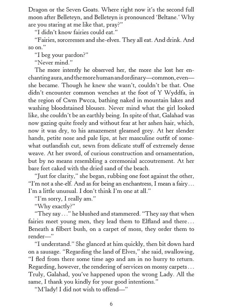 The Lady of the Lake. The Witcher Book 5 - фото 7