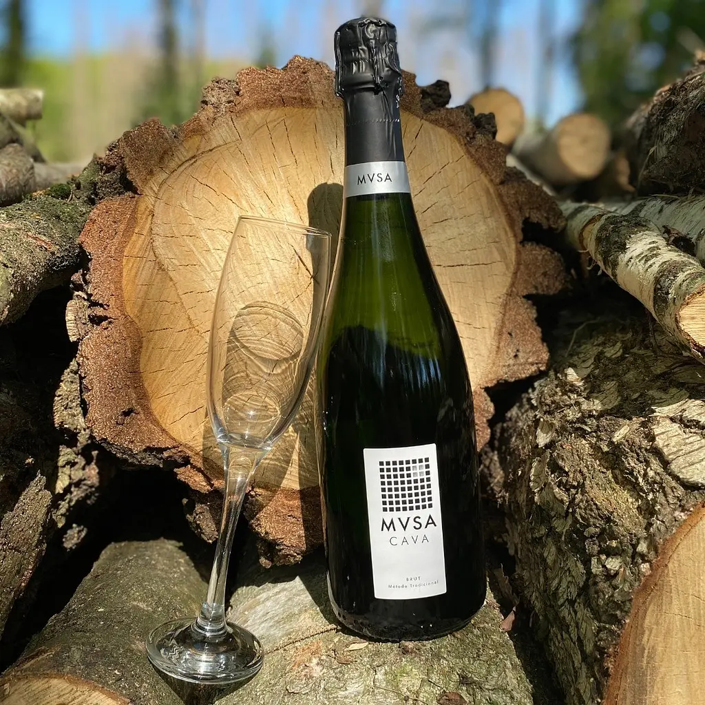 Вино ігристе MVSA Cava DO Brut біле брют 0.75 л - фото 6