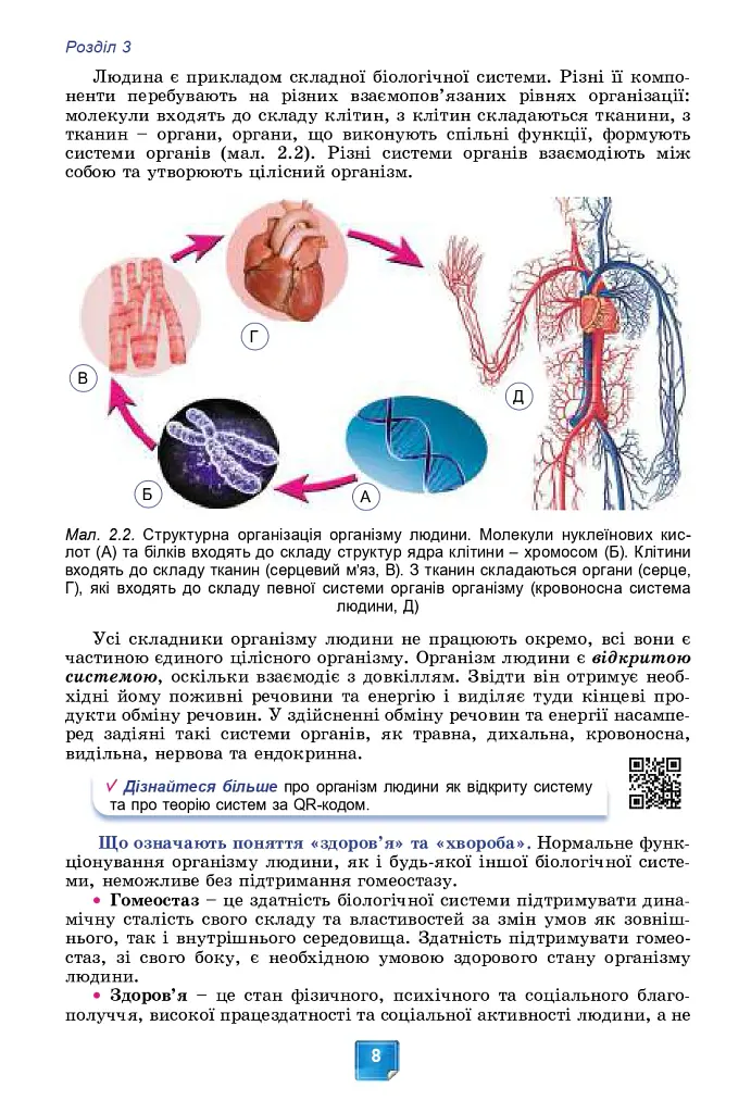 Біологія. Підручник. 8 клас - Людмила Юрченко - фото 10