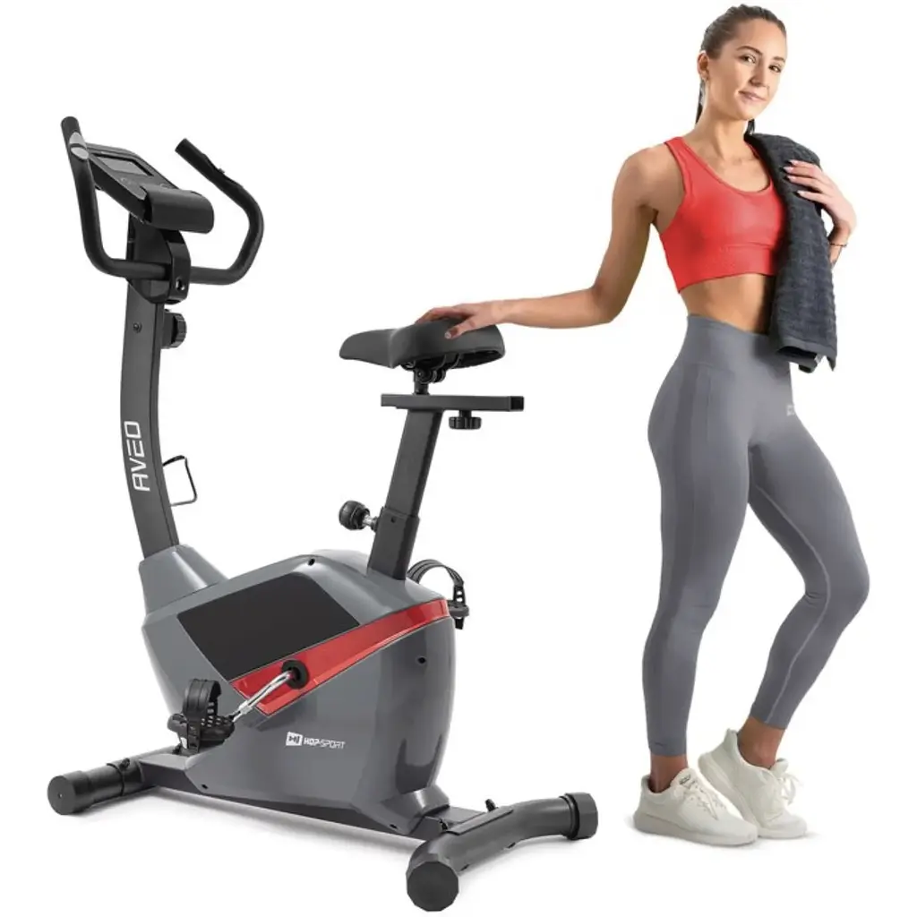 Велотренажер магнитный Hop-Sport HS-2090H Aveo серый - фото 2