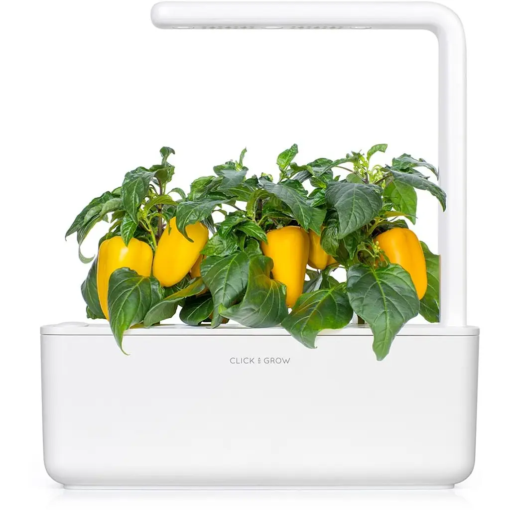 Змінний картридж Click & Grow Smart Garden Жовтий солодкий перець, 3 капсули (8950) - фото 5