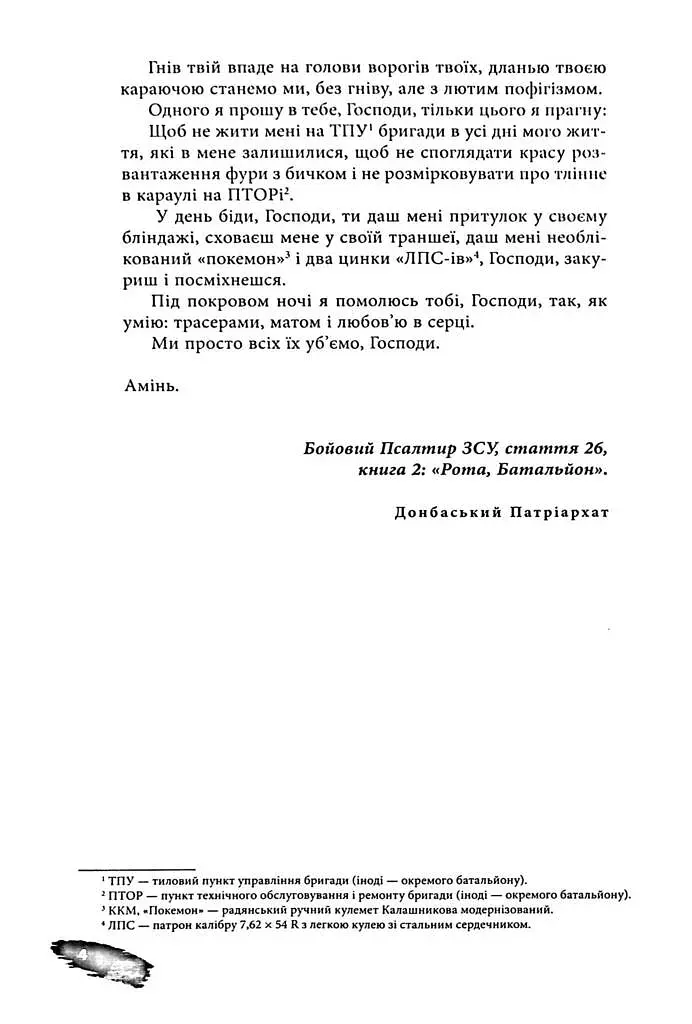 Піхота. Наша земля - фото 3