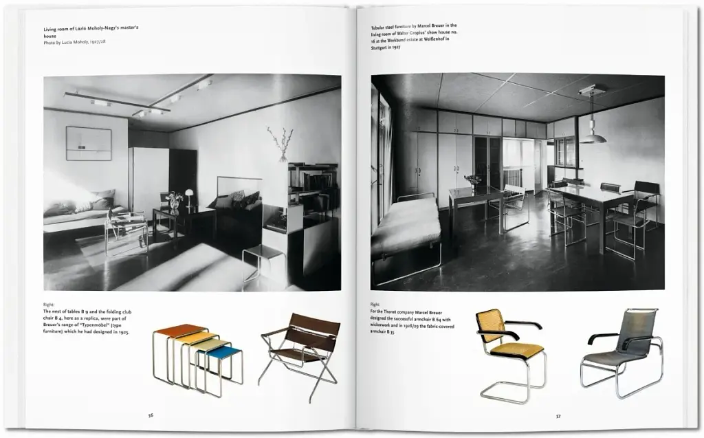 Bauhaus - фото 7