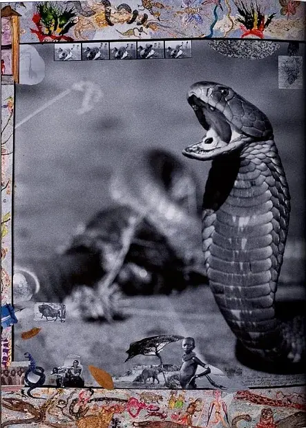 Peter Beard - фото 8