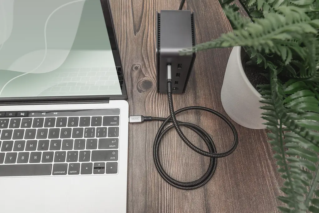 Кабель Digitus USB 4.0 (Type-C/Type-C) 1м, чорний teh0025045 - фото 3