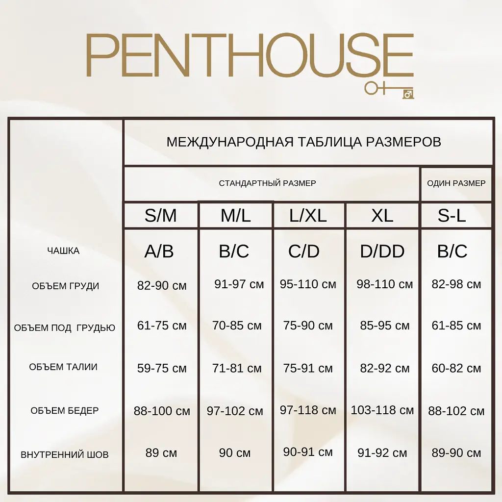 Бодістокінг із сітки та мережива DIRTY MIND чорний Penthouse s/l - фото 4