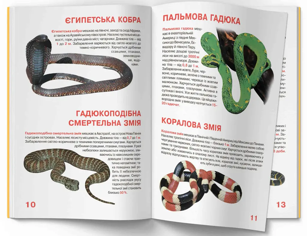 Велика книжка. Отруйні змії - фото 4