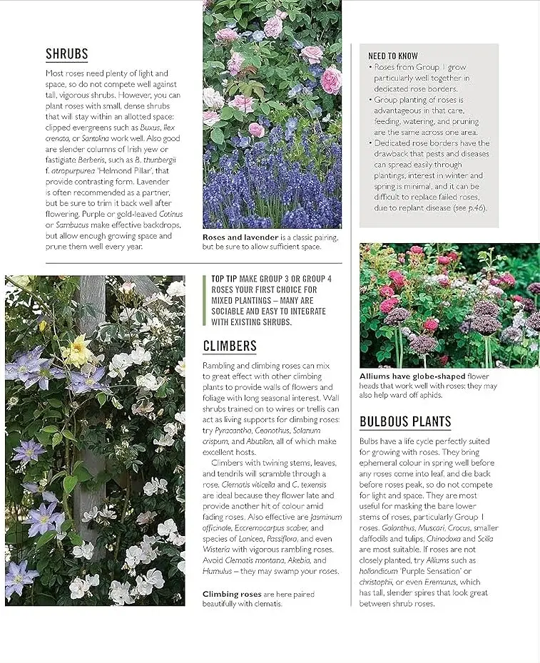 Grow Roses. Essential Know-how and Expert Advice for Gardening Success - фото 8