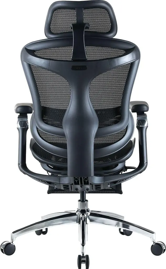 Офісне крісло Sihoo DORO C300 Pro Mesh Black with footrest (DORO-C300-PRO-M101-JT) - фото 2
