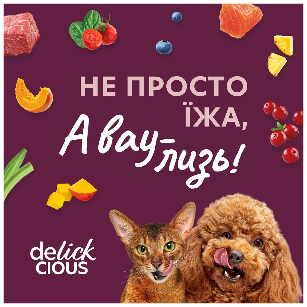 Вологий корм для кішок Delickcious Суп з курки з шинкою та додаванням шпинату 80 г (4820269141599) - фото 9
