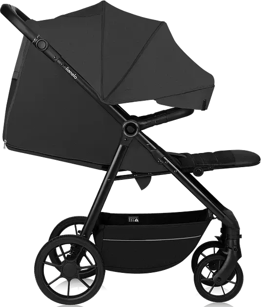Прогулянкова коляска Lionelo Mira Grey Graphite (LO-MIRA GREY GRAPHITE) - фото 2