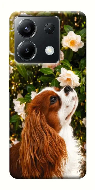TPU чохол Demsky Flower spaniel для Xiaomi Poco X6