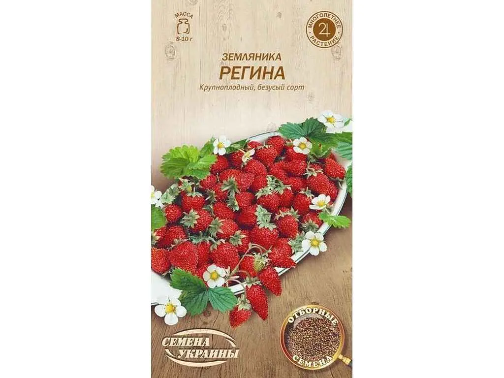 Суниця СЕМЕНА УКРАИНЫ (20 пачок) РЕГИНА 0,1г