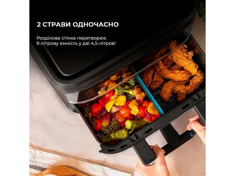Мультипіч (аерофритюрниця) Cecotec Cecofry Dual 9000 (A01_EU01_100149) - фото 12