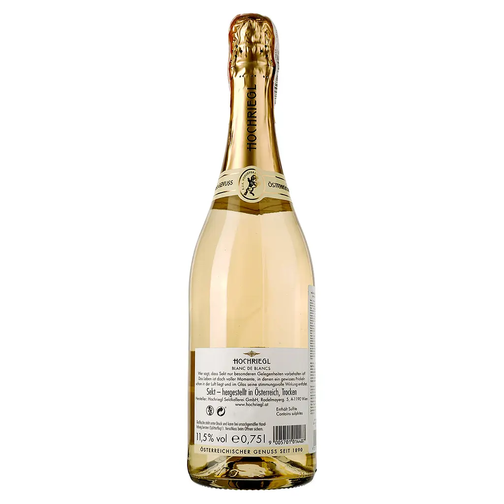 Вино игристое Hochriegl Blanc De Blancs, белое, сухое, 0,75 л - фото 2