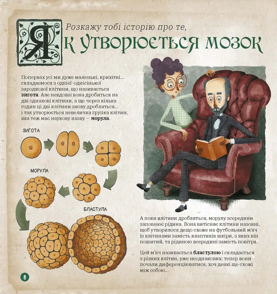 Книга Ранок Дітям про науку. Як працює людський мозок - Пабло Барречеґурен (N1280004У) - фото 4