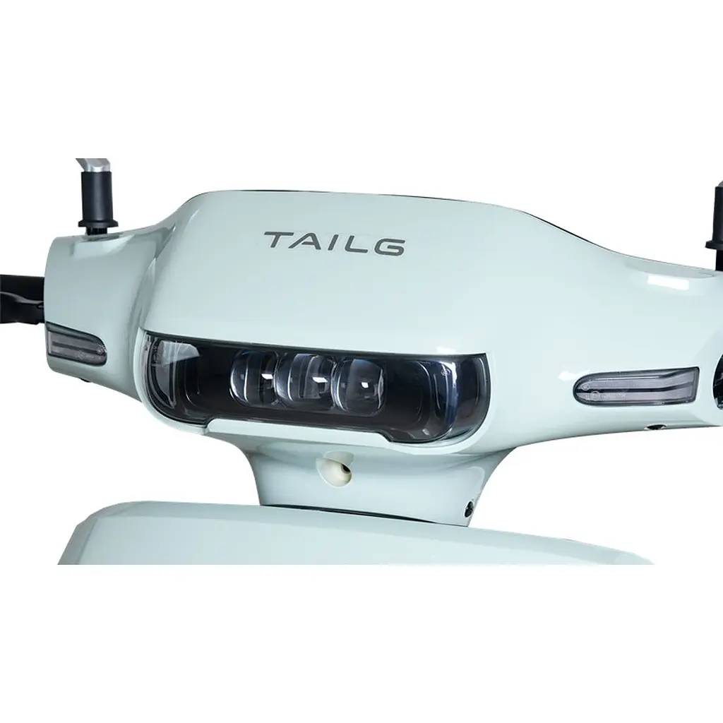 Електроскутер Tailg T-80 GR-709 Mint [172337] - фото 6