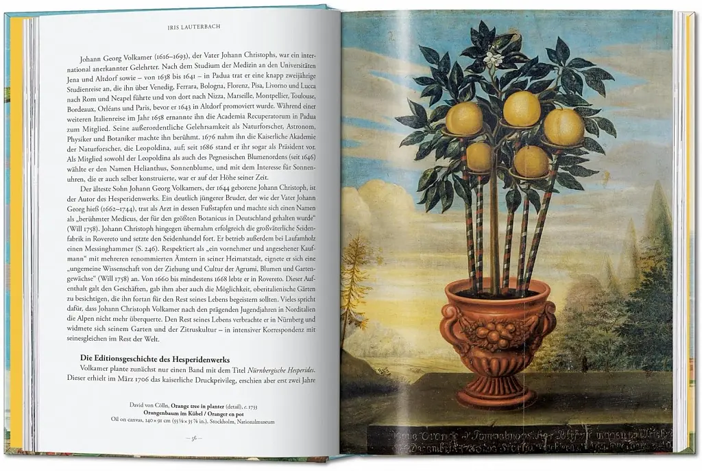 J. C. Volkamer. Book of Citrus Fruits. 45th Edition - фото 4