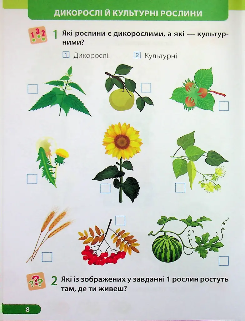 Я досліджую світ. Робочий зошит. 1 клас. Частина 2 - Лариса Мечник - фото 9