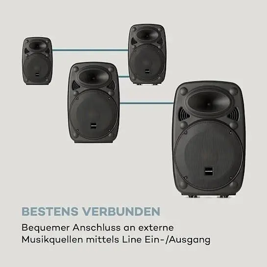 Мобильная акустическая система Auna Streetstar 2.0 12 BT USB/SD/MP3 AUX (10031567) - фото 6