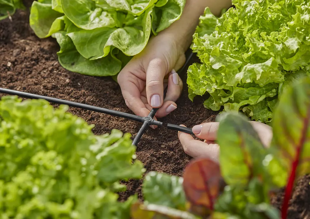 З'єднувач хрестоподібний Gardena Micro-Drip-System для шлангів 4,6 мм, 10 шт (13214-20) - фото 2