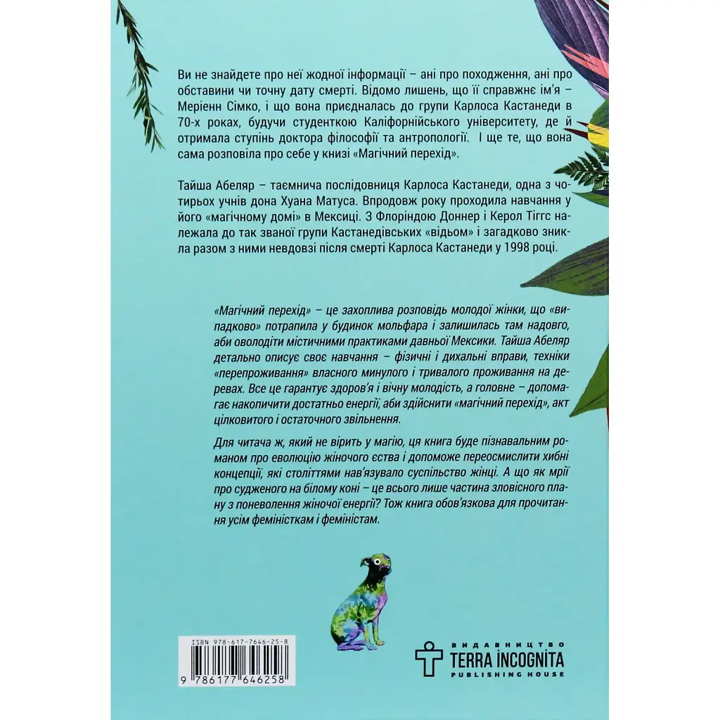 Волшебный переход. Путь женщины-воина - Тайша Абеляр - фото 2