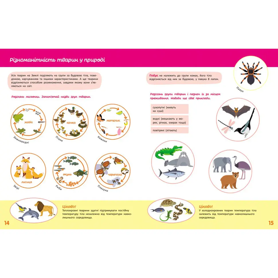 Детская книжка «Школа Кенгуру. Познаем мир» III шаг 1917003 - фото 3