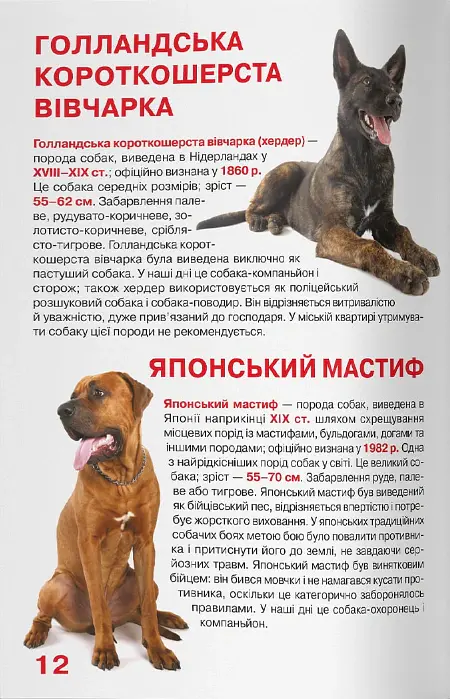 Велика книжка. Службові собаки - Олег Зав'язкин - фото 5