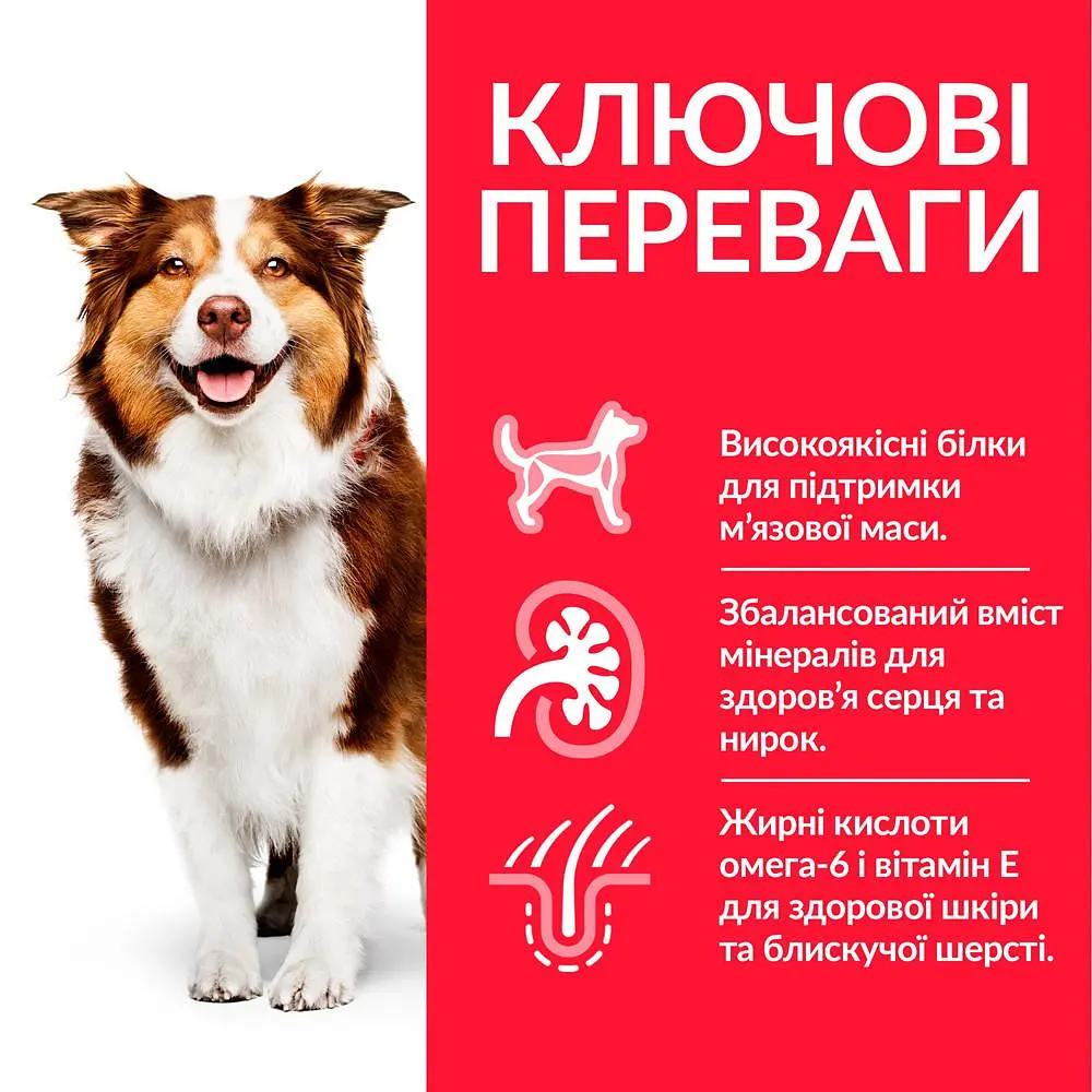Сухий корм Hill's SP Can Mature Adult 7+ Medium C 2,5 кг для зрілого собаки 7+ середніх порід - фото 3