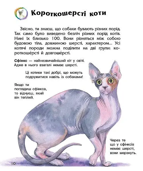 Коти. Енциклопедія дошкільника - фото 2