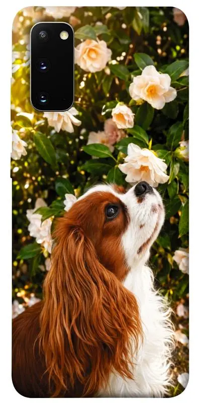 TPU чохол Demsky Flower spaniel для Samsung Galaxy S20