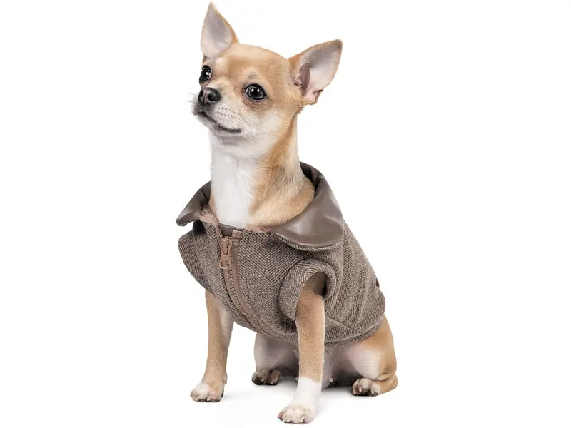 Жилет для тварин Pet Fashion Harry XS2 (4823082430109) - фото 2