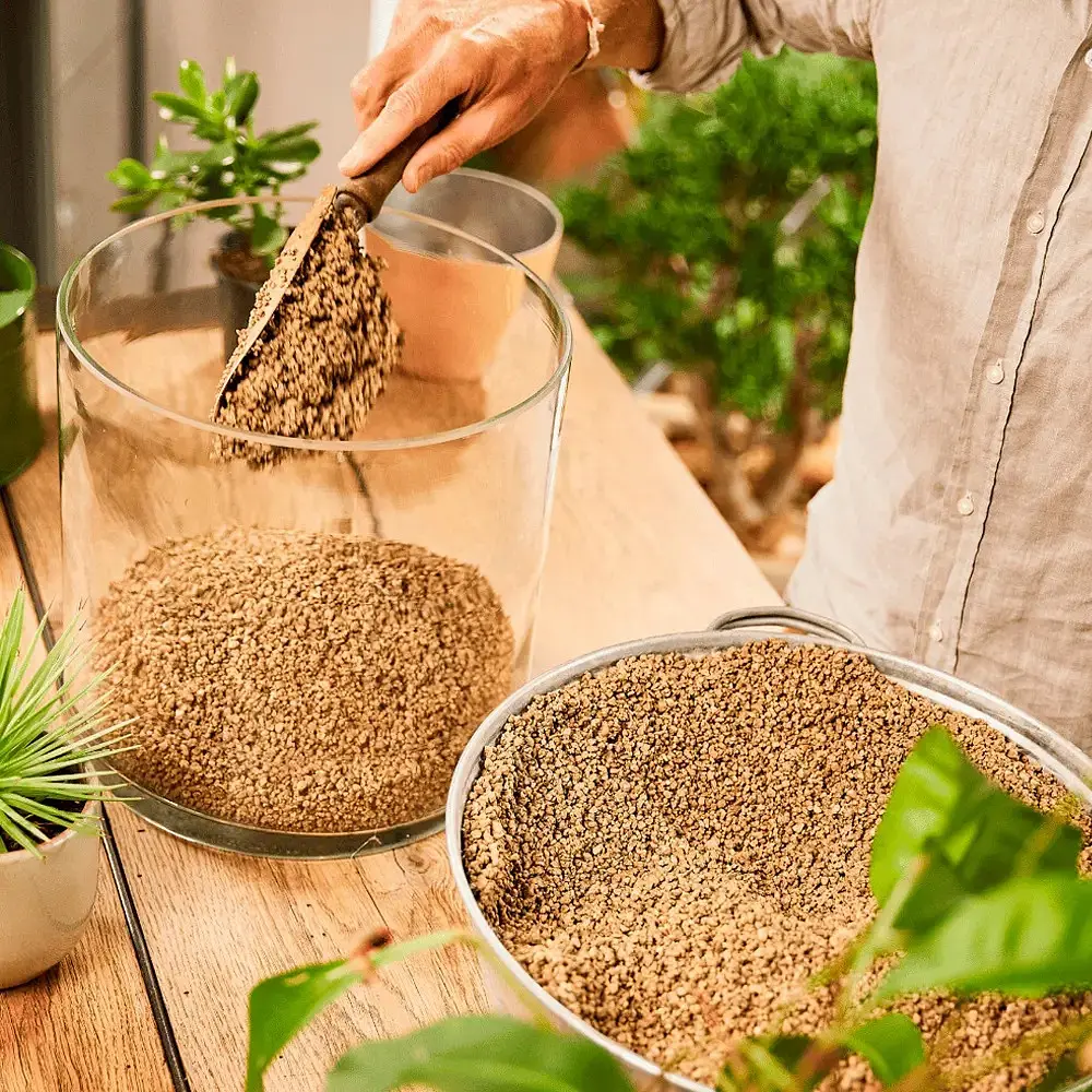 Субстрат Compo Bio Granuplant для кімнатних рослин 6 л (8818) - фото 4