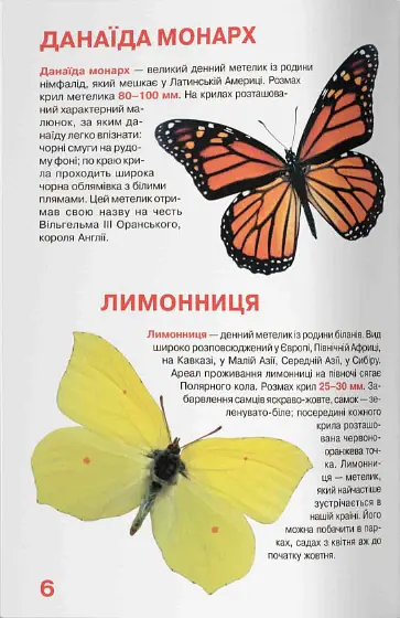 Велика книжка. Метелики - фото 3