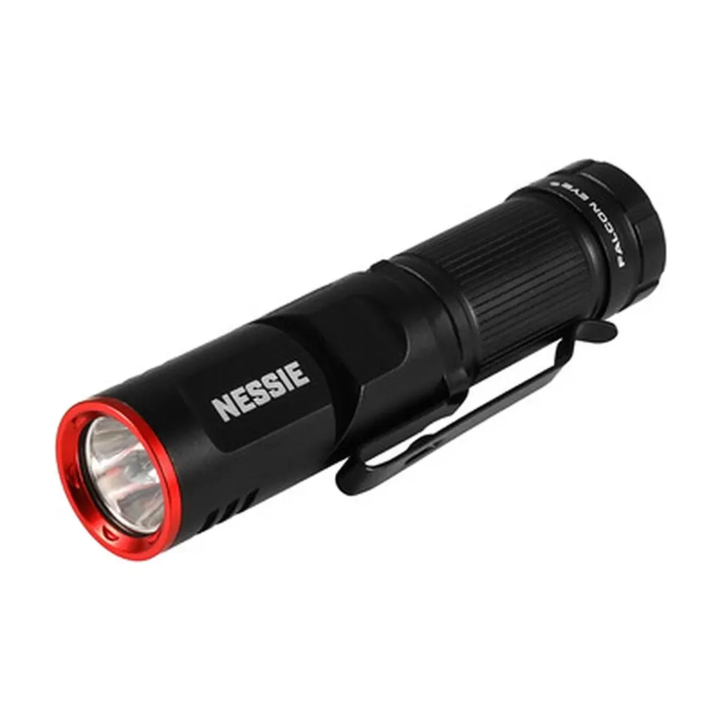 Ліхтар Falcon Eye тактичний Nessie (500 Lm) Magnetic Rechargeable Type-C (FHH0140) (DAS303984) - фото 2