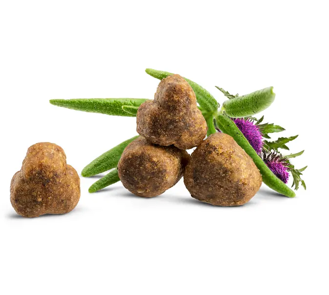 Сухой корм для взрослых кошек с избыточным весом Happy Cat Sensitive Light, 10 кг (70605) - фото 2